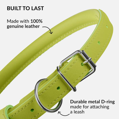 CollarDirect Rolled Leather Dog Collar, Soft Padded Round Puppy Collar, Handmade Genuine Leather Collar Dog Small Large Cat Collars 13 Colors (13-16 Inch, Lime Green Smooth)