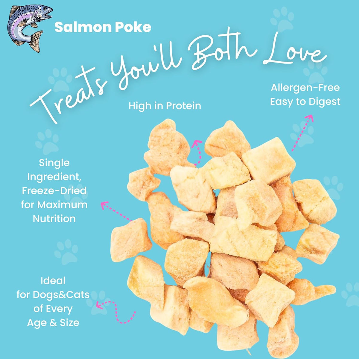 hotspot pets Freeze Dried Salmon Treats for Cats & Dogs -Made in USA-1LB Resealable Big Bag -Single Ingredient, High Protein, All Natural Grain-Free- Perfect for Training, Topper or Snack
