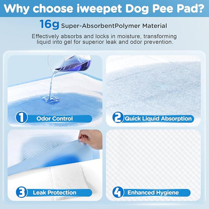 iweepet 4XL Puppy Pads 36"x51" 40 Count, Pee Pads for Large Dogs & Multi-pet Families, Ultra Absorbent & Quick-Dry, Disposable Pet Training Pads for Doggie, Cat , Leakproof Incontinence Underpads