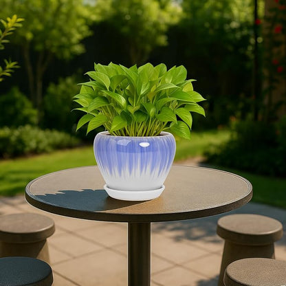 Deep Dream 6 Inch Plant Pots- Ceramic Planter Pot with Drainage Hole and Saucer, Round Flower Pot for Indoor Outdoor Succulent, Snake Plants and Cactus, White&Blue