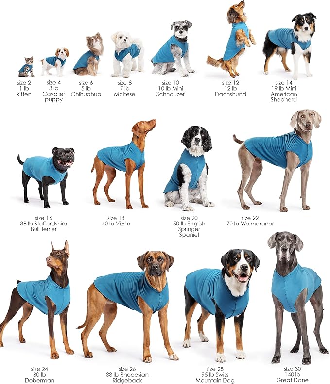 Goldpaw Stretchy Fleece Jacket for Small Dogs - Super Soft, Warm Dog Sweater - Pet Sweater Vest for Fall and Winter - Canine Clothes Made in The USA - Machine Washable - Blue Plaid - Size 26