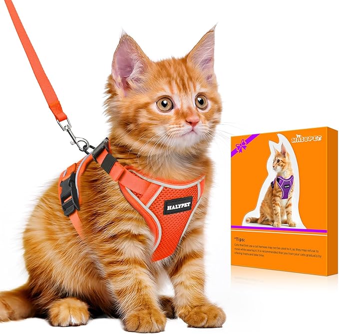 Halypet Cat Harness and Leash Set [MAX Safety 4th-Gen Upgrade] Escape Proof Adjustable Cat Leash Comfortable Soft Vest Easy to Wear Kitten Harness with Reflective Strip for Cats Walking, S Orange