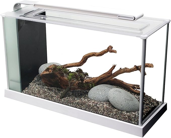 Fluval SPEC Aquarium Kit, Aquarium with LED Lighting and 3-Stage Filtration, 5 Gallon, White