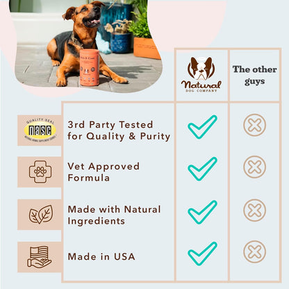 Natural Dog Company Skin & Coat Supplement for Dogs Omega-3 Rich Salmon Oil Chews for Itchy Skin Relief, Shedding & Allergy Support, Shiny Coat Health, with Biotin, Vitamin E, Grain-Free (180 Count)