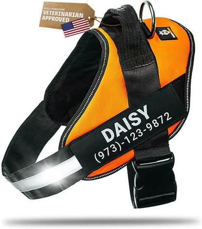 Personalized Dog Harness with Custom Name Patches, Adjustable Reflective No Choke Dog Vest with Handle for Small Dogs and Growing Puppy, Orange, XS