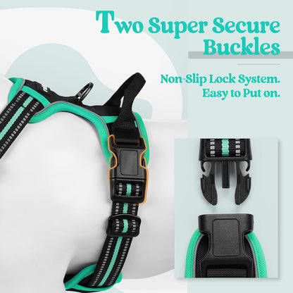 rabbitgoo Dog Harness No Pull with 2 Leash Clips, Adjustable Soft Padded, Reflective Oxford No Choke Pet Vest with Easy Control Handle for Medium Sized Dogs, Black & Turquoise, M