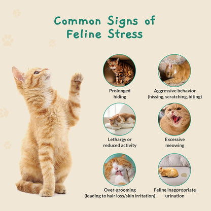 Cat Calming Diffuser – for Travel, Car & Home Use, Pheromone Diffuser for Cats & Kittens to Reduce Anxiety and Stress, No Electricity Needed, Long-Lasting Calming Support (1 Pack)