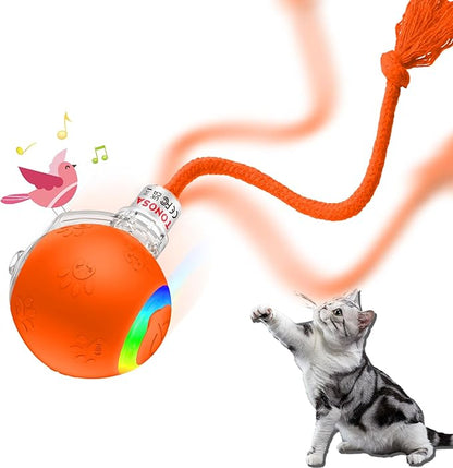 Interactive Cat Toys for Indoor Cats-Fast Rolling on Carpet,Automatic Cat/Kitten Toys for Bored Indoor Cats,Motion Activated