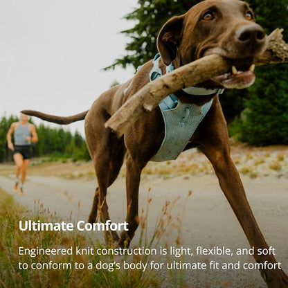 Ruffwear, Front Range Flex Dog Harness, Engineered Knit Construction for Ultimate Fit and Mobility, Lightweight Flexible Everyday Harness with Dual Leash Clips, Deep Teal, XXX-Small