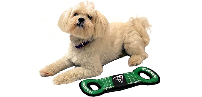 NFL Football Field DOG TOY with Squeaker. - ATLANTA FALCONS - For Tug, Toss, and Fetch. - Tough & Durable PET TOY