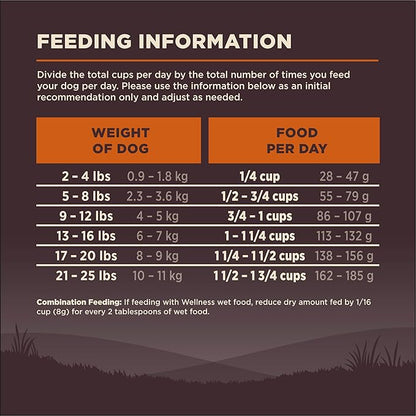 Wellness CORE Dry Dog Food, Small Breed, Grain-Free, High Protein, Natural, Original Turkey & Chicken Recipe, (12-Pound Bag)