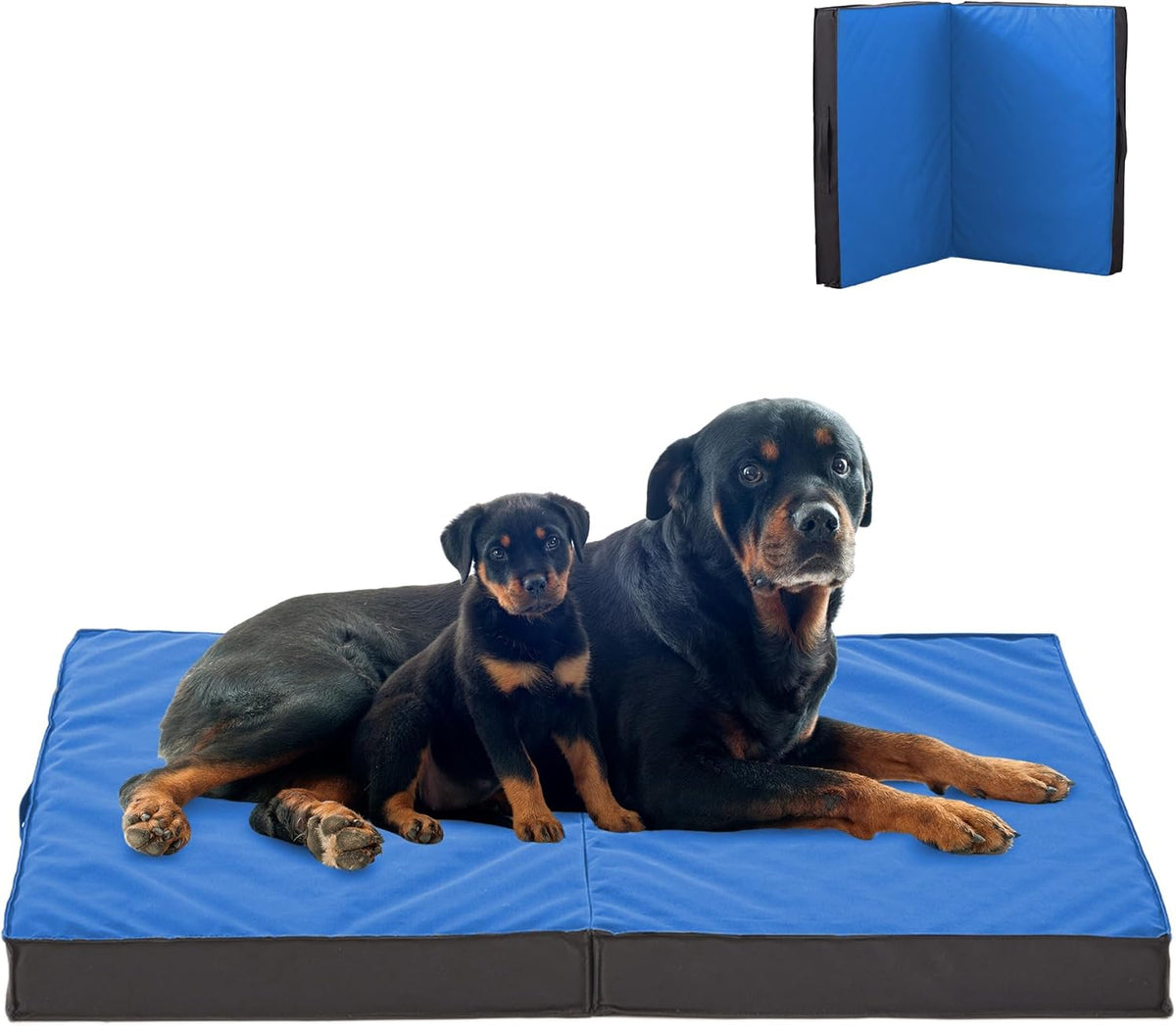 Outdoor Dog Bed - Waterproof, Portable, Foldable, Orthopedic for Large Dogs - 41" All Weather Use