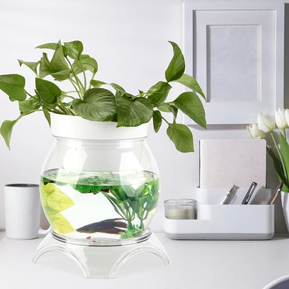 1 Gallon PET Aquaponic Fish Tank, Fish Bowl Aquaponic Betta Fish Tank Clear Aquarium for Betta Fish Reptiles Succulents Flower Vase Betta Fish Centerpiece Present for Home Office Desktop Decors