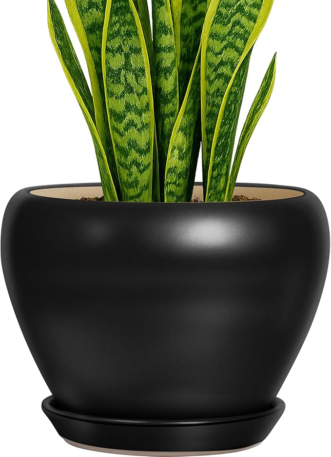 Deep Dream 8 Inch Plant Pot - Ceramic Pots for Plants with Drainage Hole and Trays, Modern Round Flower Pot, Planters for Indoor Outdoor Plants, Home Garden Decor, Black
