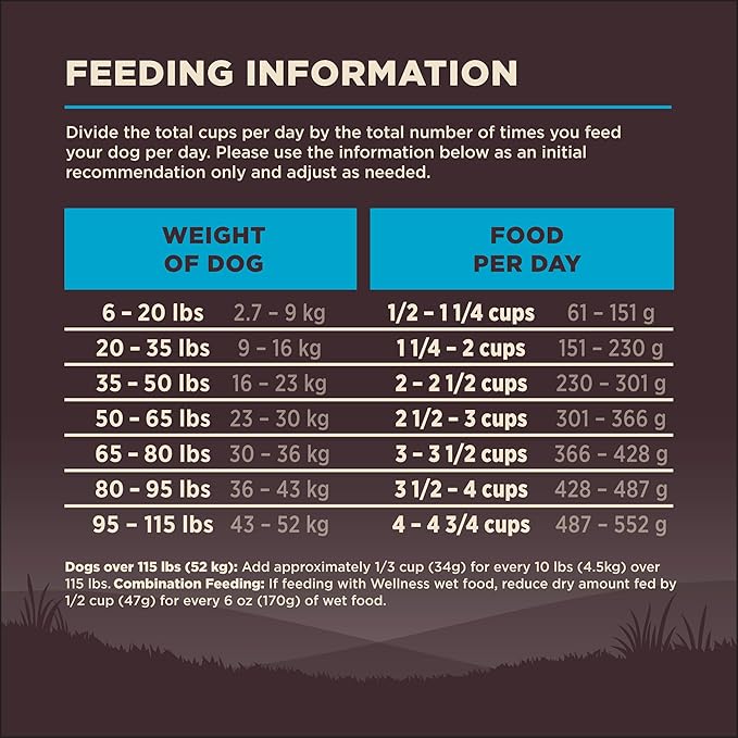 Wellness CORE Dry Dog Food, Grain-Free, High Protein, Natural, Ocean Whitefish, Herring, & Salmon Recipe, (26-Pound Bag)