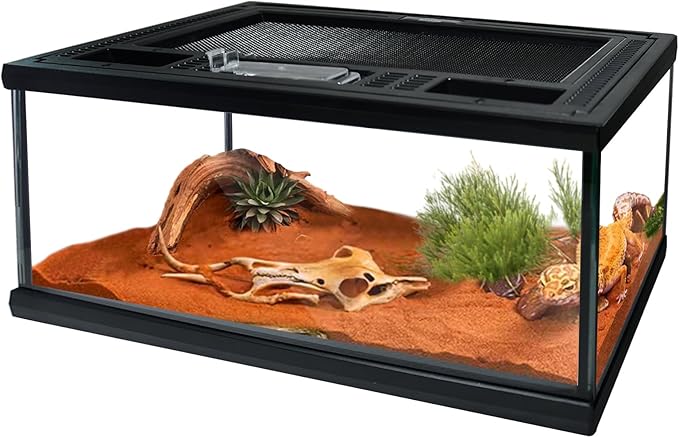 Reptile Glass Terrarium Tank 12"*8"*6",Small Cage Full View with Top Screen Ventilation Habitat Enclosure for Tarantula,Frog,Gecko,Insects,Spiders,Snakes,Hermit Crab,Turtle,Ball Python
