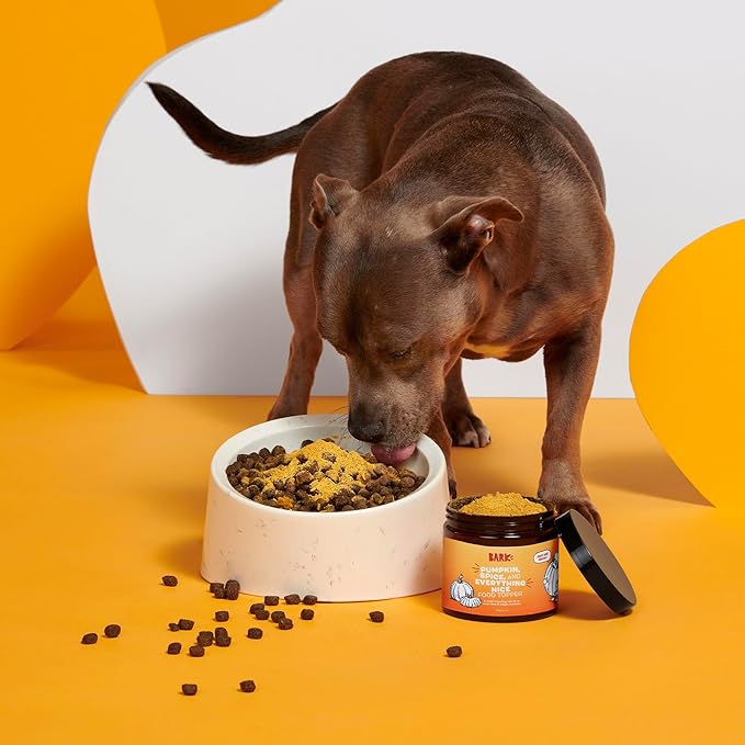 Barkbox Pumpkin Spice Digestive Food Topper Broth Powder, All Life Stages, Large & Small Breeds - 6.1oz