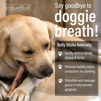 ValueBull Bully Sticks for Small Dogs, Thin 6 Inch, 200 Count Bulk Pack - All Natural Dog Treats, 100% Beef Pizzles, Single Ingredient