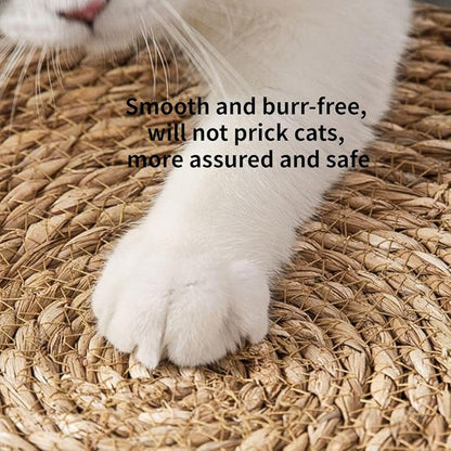 Cat Bed, Straw Woven Cat Baskets Bed, Round Wicker Cat Basket Nest, Non-Slip Cozy Kitten Bed for Cats Small Dog (with Cushion,Medium)