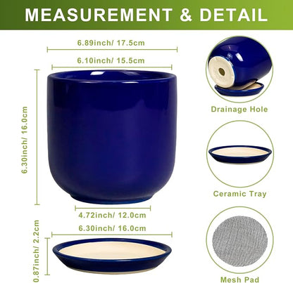 Ceramic Flower Pot 7 Inch - Cylinder 7 Inch Round Planter for Cactus Orchid Plants with Drainage Hole and Saucer, Home Office Room Desk Decor, Blue