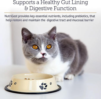 Rx Vitamins NutriGest Capsules for Cats & Dogs - Probiotics for Digestive Health Enhanced with Glucosamine for Gut Health Support - Helps with Constipation Relief and Anti Diarrhea - 90 Capsules