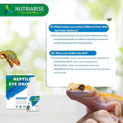 Reptile Eye Drops – Bearded Dragon Eye Rinse, Snake Eye Wash, Turtle & Lizard Eye Infection Treatment, Multi-Purpose Exotic Pet Eye Care Solution