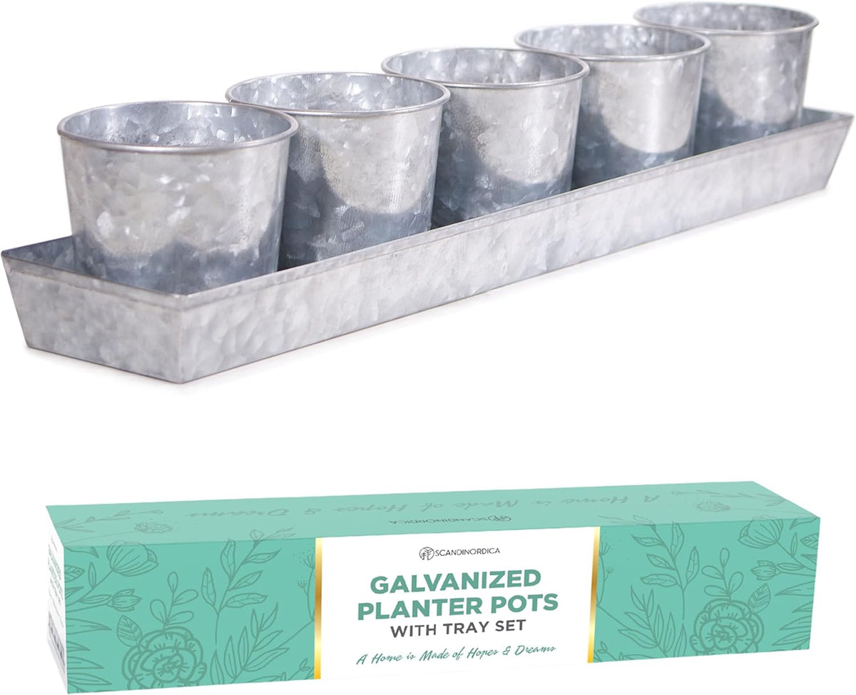 SCANDINORDICA Galvanized Metal Herb Planter, 5 Pots with Drainage Holes, Indoor Outdoor Use, Farmhouse Decor, 19.5x3.9x3.5 inches