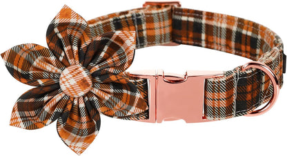 Lionet Paws Dog Collar with Flower. Everyday comfort that fits naturally into your space.