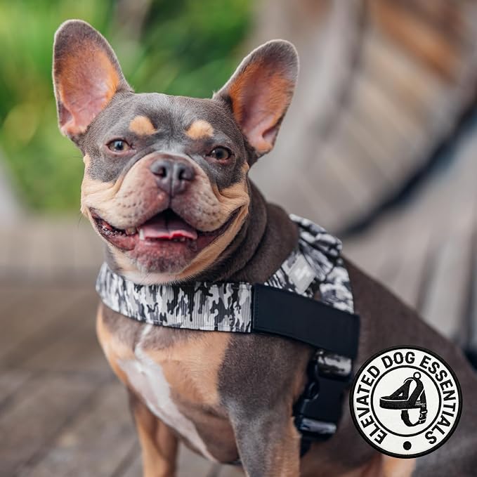 Dog Friendly Co. Dog Harness for Large Breeds (Grey Camo, Extra Large) | One Click Buckle, Chafe Resistant Webbing, Adjustable Neck & Chest, and Heavy Duty D-Ring, Sturdy Comfortable and Easy to Use