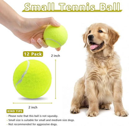 Magicorange 12 Pack Small Tennis Balls, 2 inch Tennis Balls for Dogs,Colorful Easy Catching Pet Playing Ball(Yellow, 12 Pack)