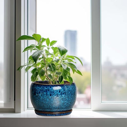 SQOWL 10 Inch Plant Pot - Ceramic Planter Pot with Drainage Hole and Saucer, Decorative Plant Pot for Indoor Outdoor Plants, Round Large Planter Flower Pot, Blue