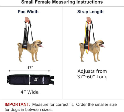 Dog Rear Sling Support Harness, SM Female, Machine Wash & Dry | Fits Small to Medium Size Dogs or Larger Barrel-Chested Breeds like Boxers, Bullies. Padded, Integrated Leash. Made in U.S.A.