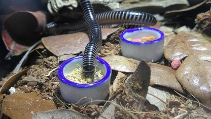 Tarantula Micro Water Bowl Spider Anti-Turnover Bowl for Small Hamster Tarantula Spider Scorpion Cricket Snail Manti Millipede Tiny Bugs Reptile Terrarium Cage Accessories (S (0.86''dia),4 Pcs)