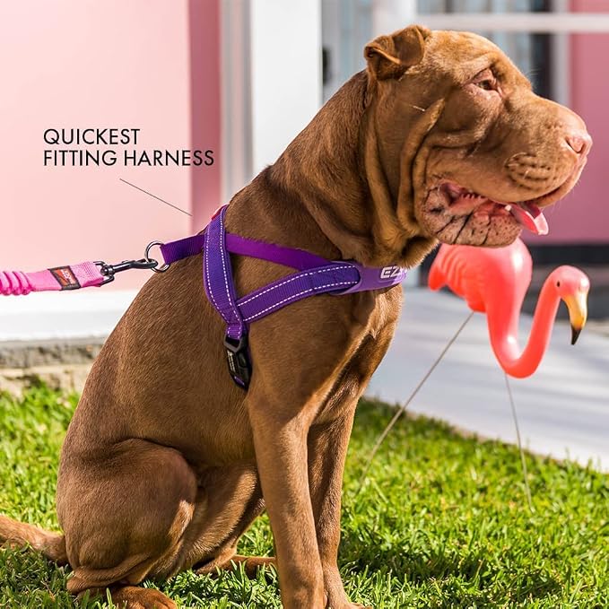 EzyDog Quick Fit Dog Harness, Soft Neoprene Padding - Small, Gray | Fast One-Click Buckle, Adjustable Fit, Strong Reinforced Materials, Reflective Stitching, No Pull Dog Harness, Easy Walking