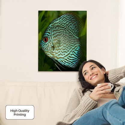 3dRose Blue Exotic Discus Fish Museum Grade Canvas Wrap 16x20