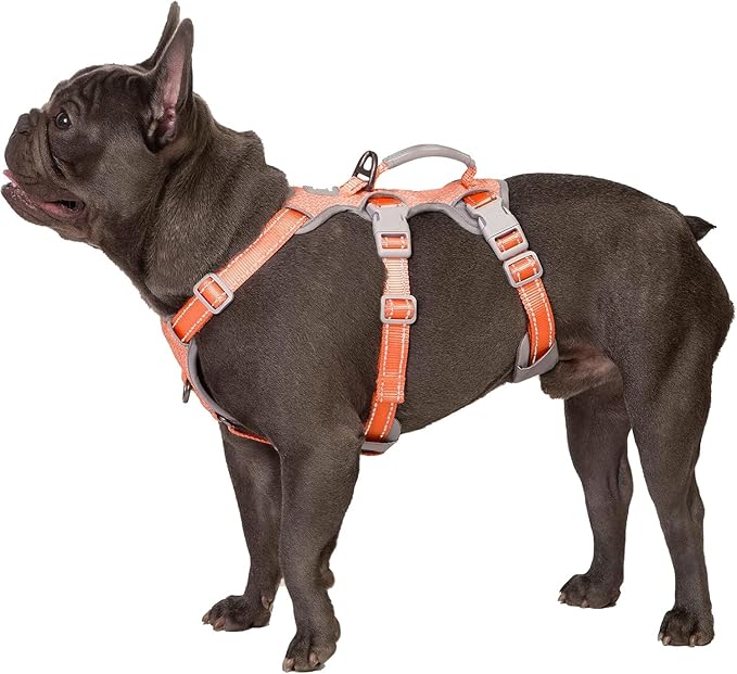 No Escape Dog Harness, Escape Proof Harness, Fully Reflective Harness with Padded Handle, Breathable,Durable, Adjustable Vest for Medium Dogs Walking, Training, and Running Gear (Orange,M)