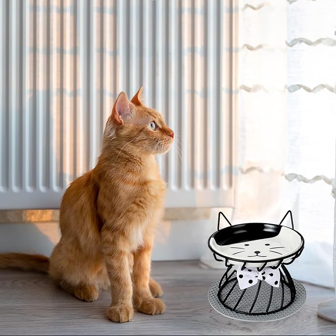 2PCS Ceramic Elevated Cat Bowls, Raised Pet Food Bowl Whisker Friendly, Anti-Vomiting Food Plate with Cute Metal Stand, Shallow Food Plate for Indoor Cat, Protects Spine