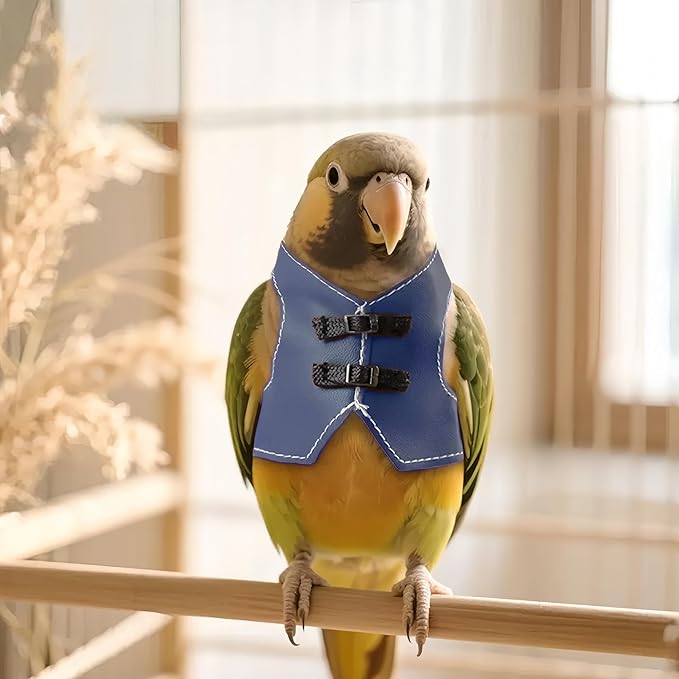 Bird Clothes, Parrot Leather Jacket, Cute Bird Costume Cosplay Photo Prop, Parrot Apparel for Eclectus, Budgerigar, African Greys Parakeet, Conure, Cockatiel, Love Birds-Cowboy Style,Blue,M