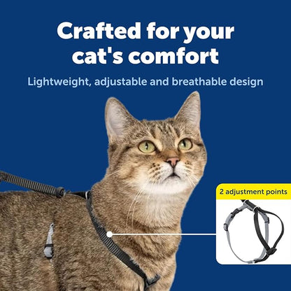 PetSafe Come with Me Kitty Harness and Bungee Cat Leash, Black, Small | Adjustable 2-Point Fit Applies Gentle Pressure to Shoulders, Not Neck, for Kittens and Small Cats with 9 in - 11 in Girth