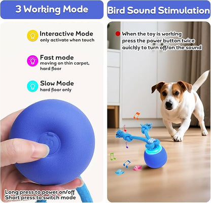 Interactive Dog Toys Touch Activated Bouncing & Jumping Dog Ball with Rope, Squeaky Doggie Toys to Keep Them Busy