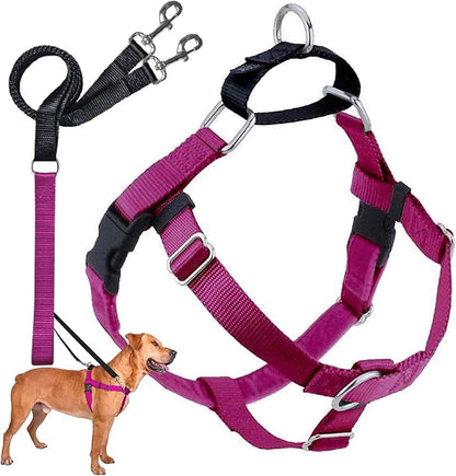 2 Hounds Design Freedom No Pull Dog Harness, Adjustable Harness and Leash Set, Easy Walking & Comfortable Control, Fits Small, Medium & Large Dogs, Solid Colors, Made in USA, 1" XXL, Raspberry