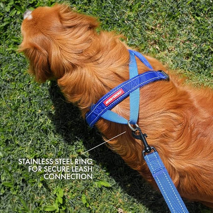 EzyDog Quick Fit Dog Harness, Soft Neoprene Padding - Large, Orange | Fast One-Click Buckle, Adjustable Fit, Strong Reinforced Materials, Reflective Stitching, No Pull Dog Harness, Easy Walking