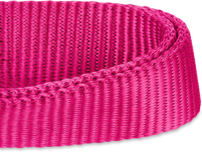 Hyhug Pets Solid Color Classic Regular Heavy Duty Basic Collar for Medium Dogs, Unique Design Adjustment Triglide Slide (Buckle) Can Attached Name Tag Accessories. (Medium, Rose Red)