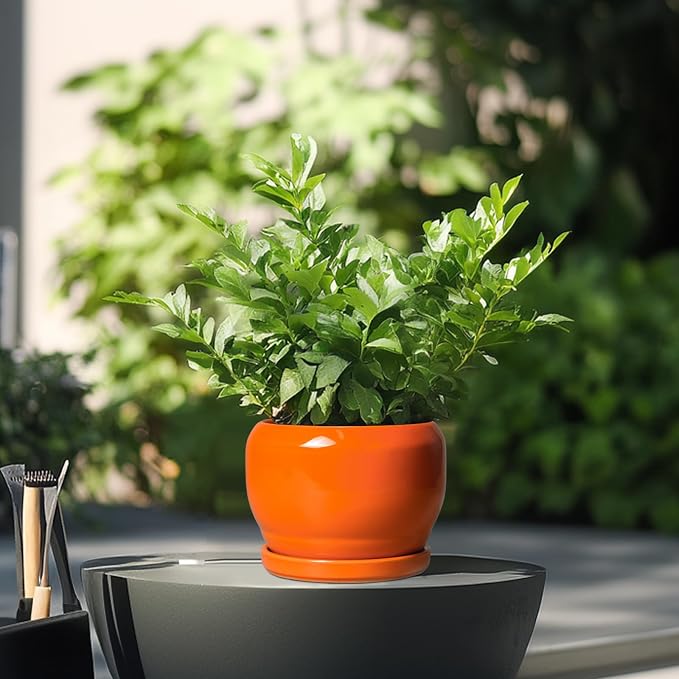 SQOWL Ceramic Plants Pots - 6 Inch Planter Indoor with Drainage Hole and Plant Saucer, Modern Round Planter Outdoor, Decorative Succulent Pot, Home Decor, Housewarming Gifts, Orange