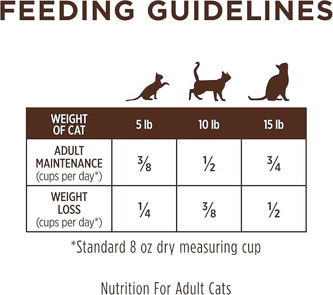 Instinct Limited Ingredient Diet, Natural Dry Cat Food, Grain Free Recipe - Real Turkey, 11 lb. Bag