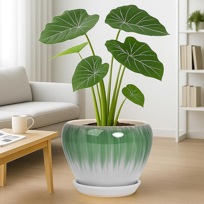 Deep Dream 10 Inch Plant Pot- Ceramic Planter Pot Round Plant Pots for Indoor Plants Outdoor Large Flower Pot with Drainage Holes & Trays, White&Green