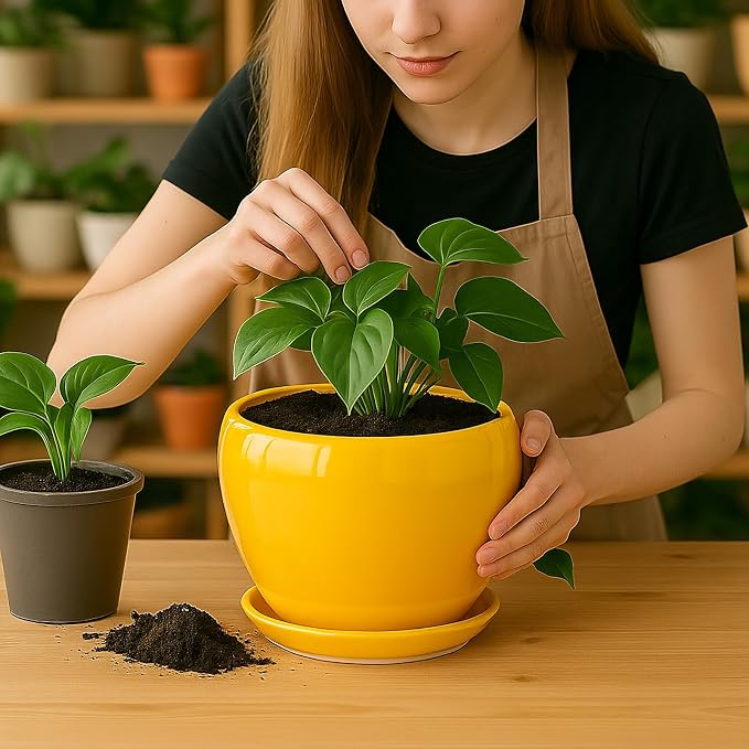 Deep Dream 8 Inch Plant Pots- Ceramic Pots for Plants with Drainage Hole and Saucer, Large Planter Pot for Indoor Plants Outdoor Decor, Yellow