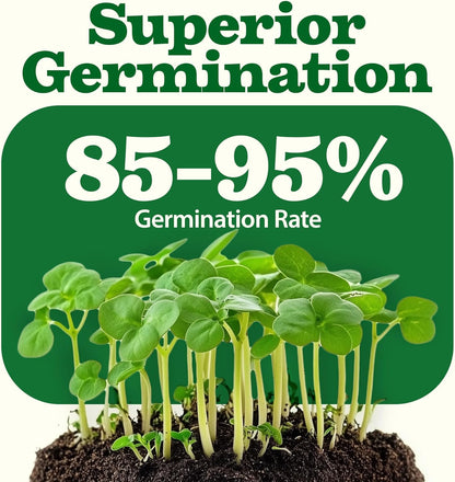 HOME GROWN 𝗨𝗦𝗔 𝗣𝗥𝗘𝗠𝗜𝗨𝗠 55 Vegetable Seeds Pack 28,000+ Non-GMO Heirloom Seeds for Planting, Spring Fall Winter Garden Kit, Survival Seed Vault for Preppers & Gardeners, Gift for Men & Women