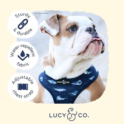 Reversible Dog Harness Walking Halter - Best Designer Pet Harnesses for Extra Small Medium Large XL Dogs Plus Pug Breeds - Padded Adjustable Puppy Vest for Easy Walking (X-Large, Shark Attack)