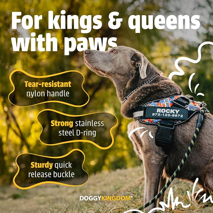 Personalized Dog Harness with Custom Name Patches, Adjustable Reflective No Choke Dog Vest with Handle for Medium Sized Dog, Orange, M